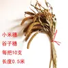 Decorações Agrícolas, Espigas de Trigo, Flores Secas, Espigas de Arroz, Sorgo, Painço, Caules de Gergelim, Galhos Secos, Buquês de Flores, Arranjos Florais, Adereços para Festa da Colheita