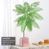 Jacaranda en Maceta Planta Verde de Interior para Oficina Estilo Japonés Sala de Estar Mueble de TV Planta de Piso Fácil de Mantener en Todas las Estaciones
