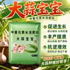 Producto Genuino Ajo Ajo Bebé Plantación Suplemento Especial Nutrición Promover Crecimiento Hinchazón Calidad Fertilizante Soluble en Agua