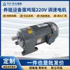 Equipo de Cría Personalizado Jaula para Gallinas Ponedoras Máquina de Velocidad Ajustable 220V Motor de Reducción Trifásico AC de Frecuencia Variable 380V Venta al por Mayor