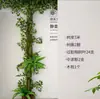 Folhas, galhos, videiras, flores artificiais, trepadeiras, canos, pilares, plantas trepadeiras, plantas verdes, plantas de parede, cobrindo imperfeições, decorações
