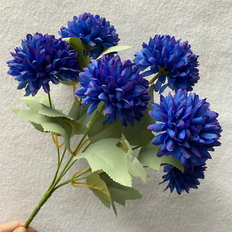 花色宝石兰.JPG