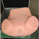 高级妇科训练模型,妇科检查模型,妇婴训练模型医学模型YR-FK