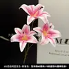3 Flores de Lirio Simulación 3D Pequeño Libro Rojo Mismo recomendar Boda Decoración de Boda Flor Ventana Fotografía Paisaje