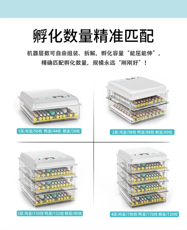 白壳详情1_08