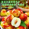 Shaanxi Dali Dátil de Invierno Fruta Fresca Dátil de Temporada Crujiente Dulce Dátil Verde Caja Completa 2.5kg Dátil Sf Opcional Dulce