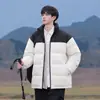 Nueva colección transfronteriza de otoño e invierno: Chaqueta de algodón con capucha, cálida, de color liso para hombre, adecuada para actividades al aire libre, a prueba de viento y proporciona calor