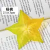 Marcadores de frutas creativos hechos de acrílico para leer, elegantes y transparentes, exquisitos marcadores de regalo para estudiantes