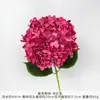 Flores de Hortensia Artificiales Estilo Nuevo para Decoraciones de Pared de Moda, Flores Secas para Arreglos de Pasillo de Boda, Accesorios para Fotografía al Aire Libre al por Mayor