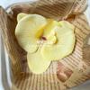 Flor artificial Phalaenopsis flor 3D de película cabeza de flor estilo ramillete regalo de mano LV Fu regalo DIY caja de regalo decoración de boda
