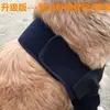 Rodillera para Perro Protector de Pata Manga Protectora para Cirugía de Articulación Lesión Protección contra el Frío Calidez Equipo Protector para Mascotas Coderas Rodillera para Perro Perro Proteger
