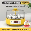 Incubadora Automática Pequeña para el Hogar para Pollitos Pollitos de Codorniz Criadero para Niños Pequeños Educación Científica Iluminación de la Vida Otro
