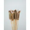 Brochetas populares para snacks en línea, brochetas comerciales, brochetas fritas, productos semielaborados, brochetas picantes revolucionarias, brochetas para olla caliente, brochetas de res picantes