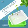 Incubadora para Germinar Semillas de Sandía Incubadora Pequeña Máquina de Temperatura Constante Control de Temperatura de Plántulas Diferencia de Temperatura Caja para Germinar Frijoles