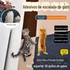 Tapete Protetor de Sofá Anti-Arranhão Transfronteiriço, Tapete para Pet Gato e Cachorro, Adesivo de Parede, Brinquedo Resistente ao Desgaste, Tapete de Escalada para Gato, Placa de Arranhar para Gato, Adesivo de Escalada