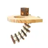 Estación de Percha de Madera para Juguete de Loro, Comedero de Madera de Manzana, Túnel de Lanzadera, Rama para Afilar Garras, Soporte Combinado de Escalera de Escalada