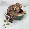 Flor Artificial Nuevo Tacto de Mano Siete Orquídeas Pequeñas Phalaenopsis Flor Falsa Boda Paisajismo Hogar Vestido Suave Fotografía Jardinería Decoración