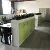 Armário Divisória de Escritório Shenzhen, Gabinete Baixo Simples Moderno com Floreira, Armário de Madeira para Flores e Plantas, Combinação de Armazenamento de Armário para Arquivos e Documentos