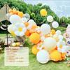 Pacote de decoração de balão Amazon Cross-border Daisy Balloon Chain Pacote Loja Decoração Aniversário Cena do evento Pano