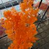 Pinheiro Penglai de Yunnan Material de Flor DIY Buquê de Cedro Clube de Combinação Decoração de Casa Sala de Estar Material Relevo Natural