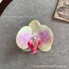 Cabeza de Flor de Phalaenopsis de Película Artificial Impresa en 3D Horquilla para el Cabello de Celebridad de Internet Souvenir de Boda Caja de Dulces de Boda Flores Falsas Decoradas a Mano