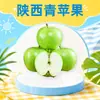 Entrega Mayorista de Manzana Verde Shaanxi 3/5/ 4.5kg Manzana de Piel Verde Estacional Dulce y Ácida Fruta Fresca Nueva Cosecha Fruta Fresca