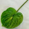 Simulação de Trompete Antúrio Decoração de Mesa para Sala de Estar Flor Artificial DIY para Casa Parede de Fundo Decoração de Casamento Feita à Mão Flor de Simulação