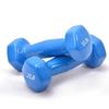 Halteres Pequenos Hexagonais Coloridos de Ferro Fundido Sólido Personalizados pelo Fabricante para Equipamentos de Fitness Feminino