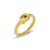 Estilo de celebridad de internet italiana transfronteriza, anillo de fundición anudado personalizado, moda versátil, acero de titanio, anillo de oro de 18 quilates A171