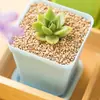 Pequeña combinación de maceta fresca y suculenta, mini escritorio, personalidad creativa, cuenca cuadrada pequeña de plástico para interiores