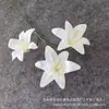 Flores Artificiales de Lirio Impresas en 3D para Decoración de Bodas, Materiales Florales Asequibles, Flores Artificiales Transfronterizas de Exportación