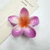 Presilha de Frangipani Colorida Transfronteiriça Europeia e Americana Presilha de Cabelo Bauhinia Presilha de Cabelo de Alta Qualidade para Férias à Beira-Mar Joia