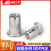 Tuerca remachable de cabeza plana de acero inoxidable 304 con veta vertical GB87110.1, tuerca remachable moleteada, tuerca remachable de cabeza plana grande