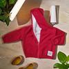 Chaqueta de terciopelo con capucha para niños y niñas, top engrosado para niños pequeños y medianos con capucha, estilo coreano popular, camisa con cremallera, estilo otoño e invierno