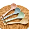 Comercio Exterior Cocina Vajilla de Plástico Espesada Cuchara Grande para Gachas Cuchara de Paja de Trigo Hogar Cuchara para Gachas de Mango Largo