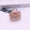 Pinza Pequeña para Flequillo Estilo Coreano Incrustada de Diamantes Moda para Niñas Nuevo Tocado Creativo Pasador de Moño Venta al por Mayor