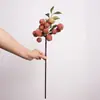 Galhos de Lichia Artificial de Alta Qualidade com Significado Inspirador, Adequados para Arte de Arranjo Floral, Estilo Pastoral, Decoração de Sala de Estar e Janela