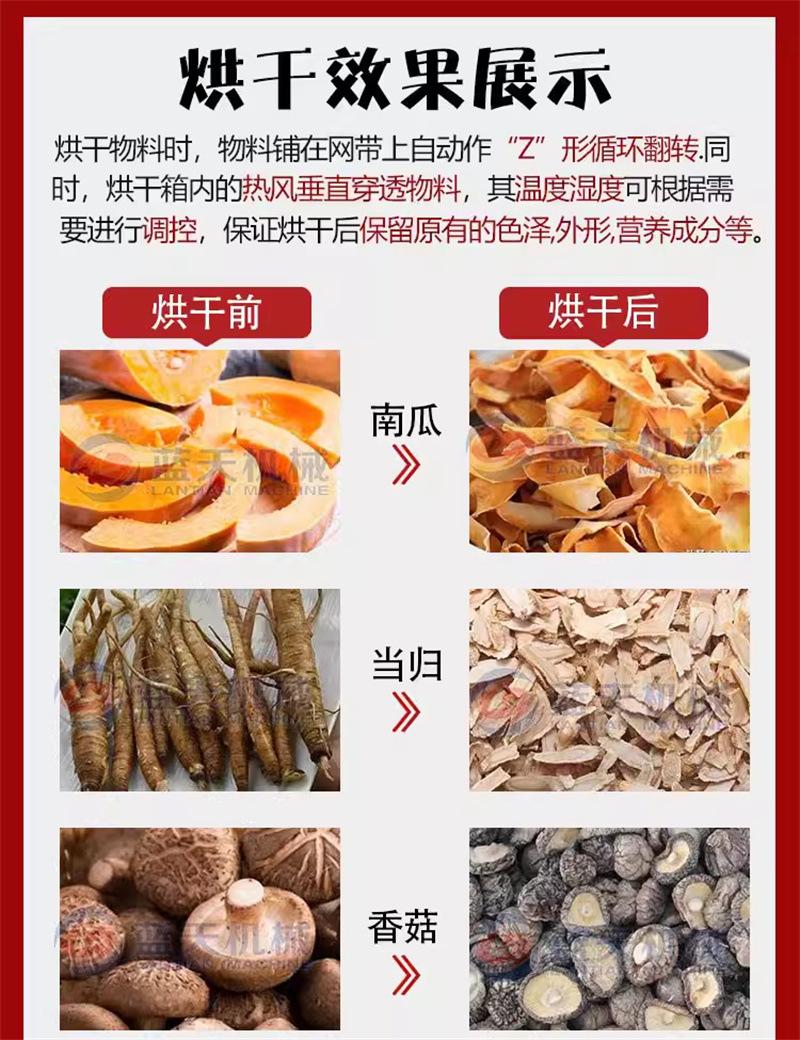 当归片.jpg