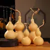 Adornos Naturales de Calabaza Retorcidos a Mano, Decoraciones de Escritorio de Calabaza Pequeña, Accesorios de Colgante Unisex, Venta al por Mayor desde el Fabricante