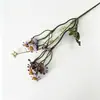 Flores secas de margarida, buquê de flores artificiais, decoração de cena, crisântemo selvagem de alta qualidade, flores de casamento, flores artificiais