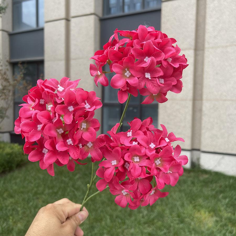 3头5瓣啸天绣球-sxxtx-玫红.JPG