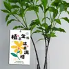 Etiquetas Simples e Frescas de Flores e Plantas para Relaxamento no Escritório, Etiquetas para Plantas em Vasos, Cartões de Sorte e Boa Sorte
