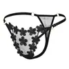 Fabricantes de Ropa Interior Suministro al por Mayor Pedidos Extranjeros Talla Europea Sexy Bordado Banda Elástica Cómodo y Transpirable Tanga para Mujer 222