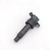 Aplicável a Hyundai Feisi Kia speed Mai 1.6T bobina de ignição 27301-2b110 273012B110