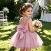 Amazon Niños Bebé Cumpleaños Primer Cumpleaños Pastel Esponjoso Gasa Vestido de Princesa Lazo Vestido Formal