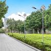 Nuevas Farolas Solares Rurales, Iluminación de Poste Alto, Iluminación LED Ultra Brillante para Ingeniería Municipal, Postes de Farola Impermeables para Parques Exteriores