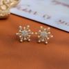 Pendientes Elegantes de Perla Copo de Nieve Super Hada Moda Sentido de Alta Gama Exquisitos Combinan con Todo Estilo Occidental Suave Pendientes INS Otoño e Invierno