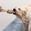 Brinquedo de Corda de Algodão Resistente a Mastigação para Cachorros, Brinquedos para Cães de Porte Pequeno e Médio, Brinquedo de Nó de Corda, Conjunto de Frisbee Suprimentos para Animais de Estimação