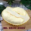 Modelo de Almohada Dorada de Durian Fruta Plástica Falsa Decoración de Exhibición de Tienda de Durian Adorno Colgante Atrezo para Fotografía