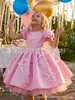 Vestido de Performance para Dia das Crianças Simples de Cetim Vestido de Apresentadora para Aniversário Casamento Daminha Vestido Princesa Rosa Fofo Vestido Transfronteiriço